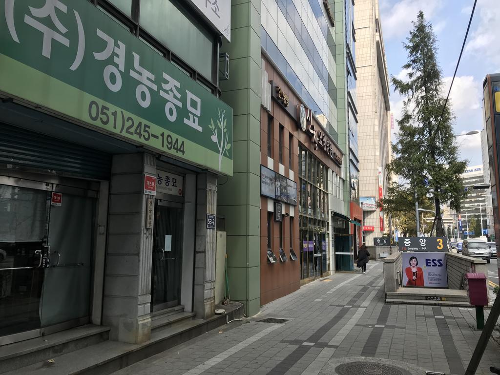 Hotel Mint House - Female Only à Busan Extérieur photo